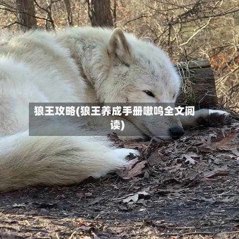 狼王攻略(狼王养成手册嗷呜全文阅读)-第1张图片