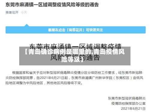 【青岛确诊病例是哪里的,青岛疫情风险等级】-第1张图片