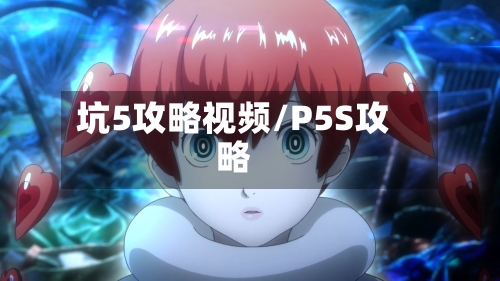 坑5攻略视频/P5S攻略