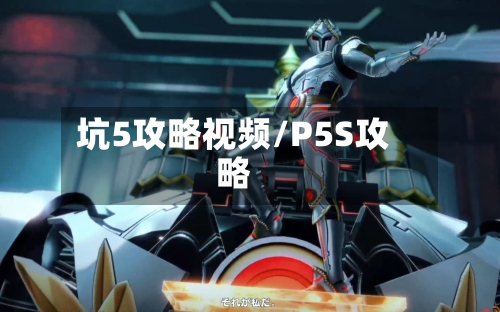 坑5攻略视频/P5S攻略-第3张图片