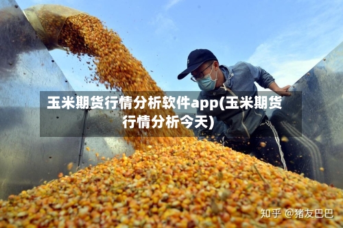 玉米期货行情分析软件app(玉米期货行情分析今天)-第1张图片
