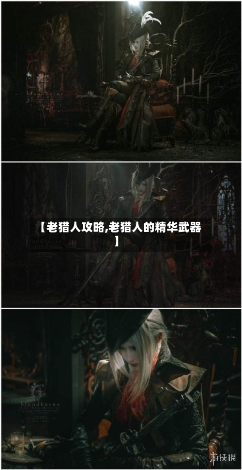【老猎人攻略,老猎人的精华武器】-第1张图片
