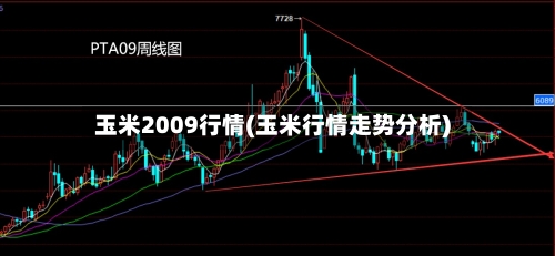 玉米2009行情(玉米行情走势分析)-第1张图片