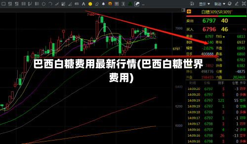巴西白糖费用最新行情(巴西白糖世界费用)-第2张图片