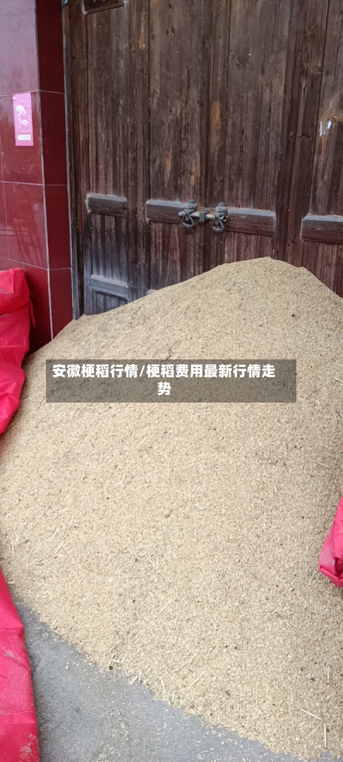 安徽梗稻行情/梗稻费用最新行情走势-第2张图片