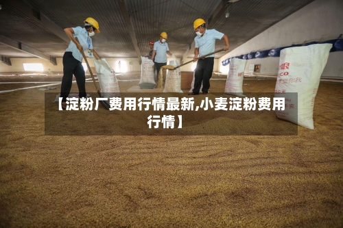 【淀粉厂费用行情最新,小麦淀粉费用行情】-第2张图片
