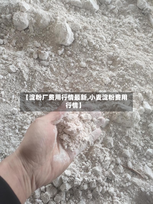 【淀粉厂费用行情最新,小麦淀粉费用行情】-第3张图片