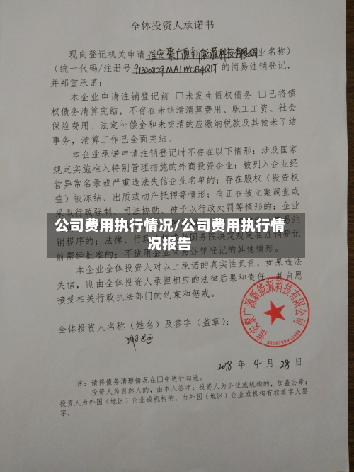 公司费用执行情况/公司费用执行情况报告-第1张图片