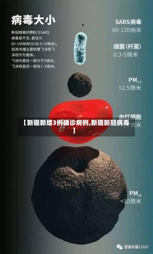 【新疆新增3例确诊病例,新疆新冠病毒】-第2张图片