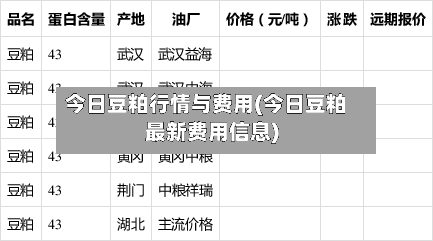 今日豆粕行情与费用(今日豆粕最新费用信息)-第1张图片