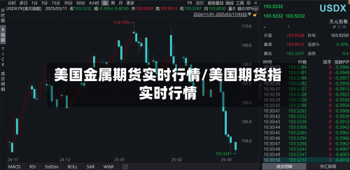 美国金属期货实时行情/美国期货指实时行情-第1张图片