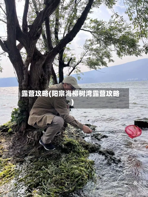 露营攻略(阳宗海柳树湾露营攻略)-第1张图片
