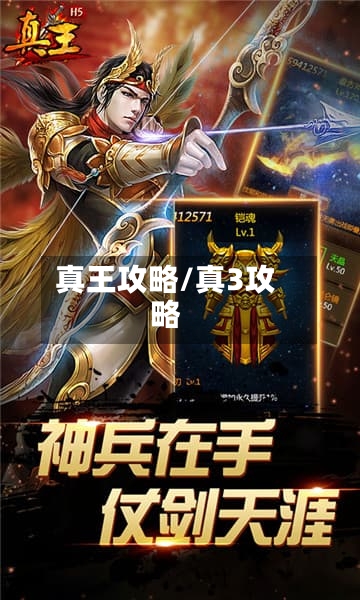 真王攻略/真3攻略-第2张图片