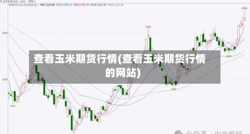 查看玉米期货行情(查看玉米期货行情的网站)-第1张图片