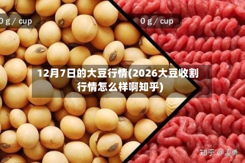 12月7日的大豆行情(2026大豆收割行情怎么样啊知乎)-第1张图片