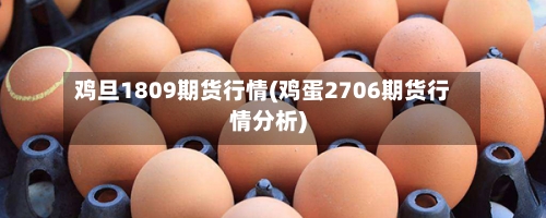 鸡旦1809期货行情(鸡蛋2706期货行情分析)-第1张图片