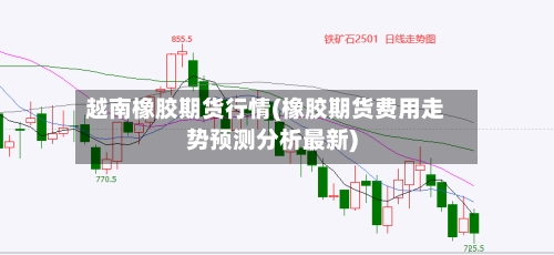 越南橡胶期货行情(橡胶期货费用走势预测分析最新)-第1张图片