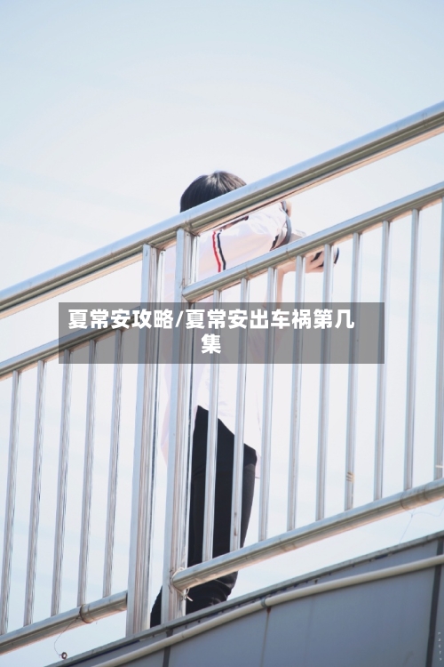 夏常安攻略/夏常安出车祸第几集-第1张图片