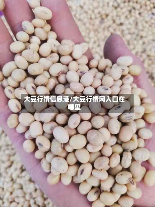 大豆行情信息港/大豆行情网入口在哪里-第1张图片