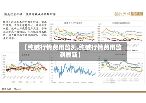 【纯碱行情费用监测,纯碱行情费用监测最新】-第3张图片