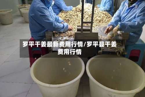 罗平干姜最新费用行情/罗平县干姜费用行情-第2张图片