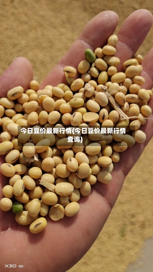 今日豆价最新行情(今日豆价最新行情查询)-第1张图片