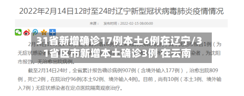 31省新增确诊17例本土6例在辽宁/31省区市新增本土确诊3例 在云南-第1张图片