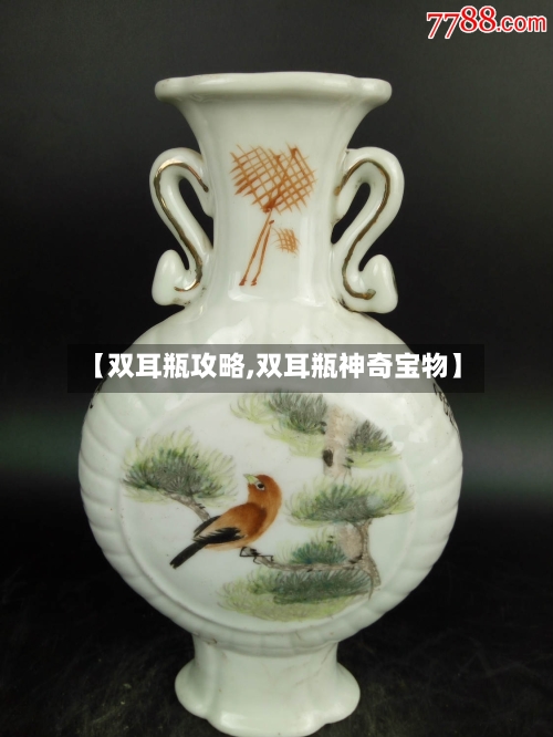 【双耳瓶攻略,双耳瓶神奇宝物】-第1张图片