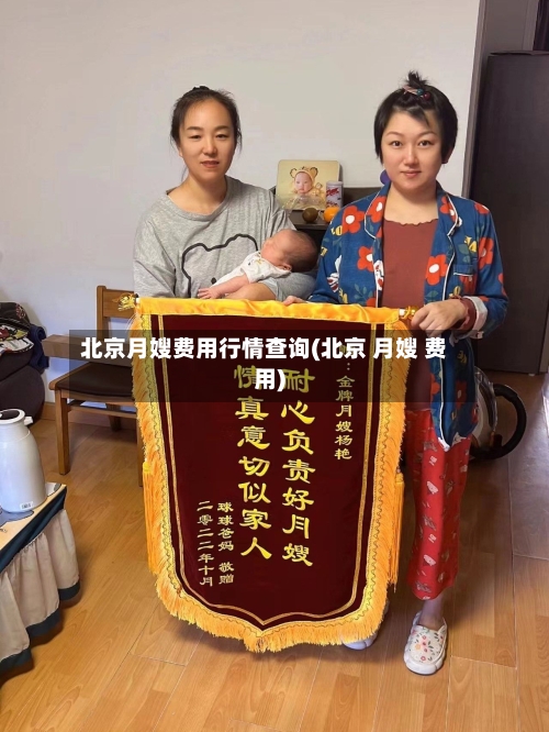 北京月嫂费用行情查询(北京 月嫂 费用)-第3张图片