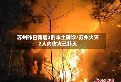 苏州昨日新增2例本土确诊/苏州火灾2人灼伤火已扑灭-第1张图片