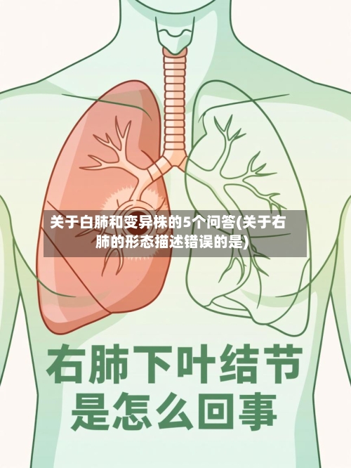关于白肺和变异株的5个问答(关于右肺的形态描述错误的是)-第1张图片