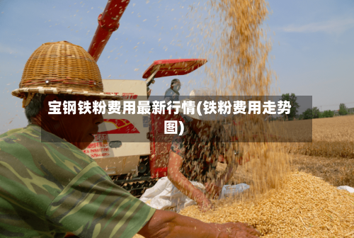 宝钢铁粉费用最新行情(铁粉费用走势图)-第1张图片