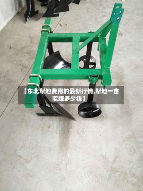 【东北犁地费用的最新行情,犁地一亩能赚多少钱】-第2张图片