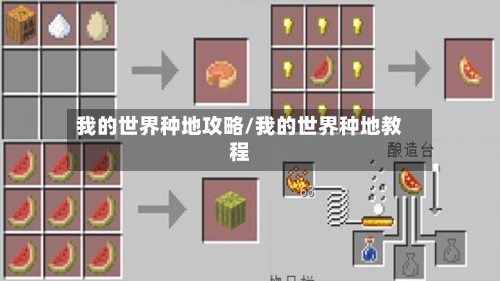 我的世界种地攻略/我的世界种地教程-第1张图片