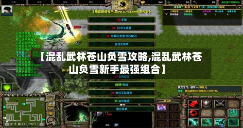 【混乱武林苍山负雪攻略,混乱武林苍山负雪新手最强组合】-第1张图片