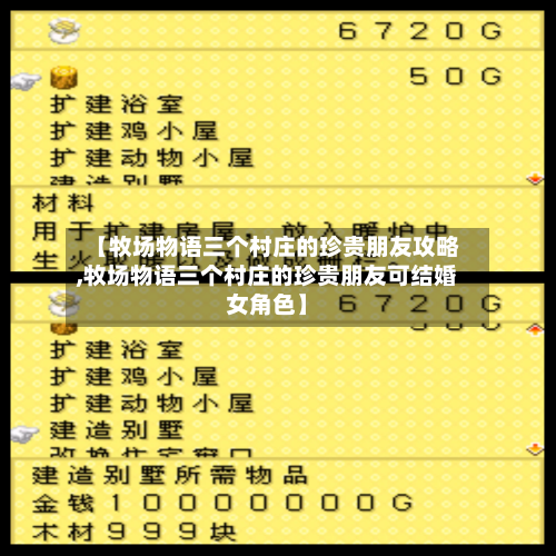 【牧场物语三个村庄的珍贵朋友攻略,牧场物语三个村庄的珍贵朋友可结婚女角色】-第1张图片