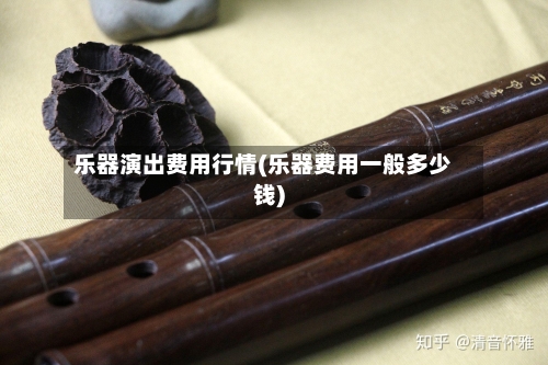 乐器演出费用行情(乐器费用一般多少钱)-第1张图片