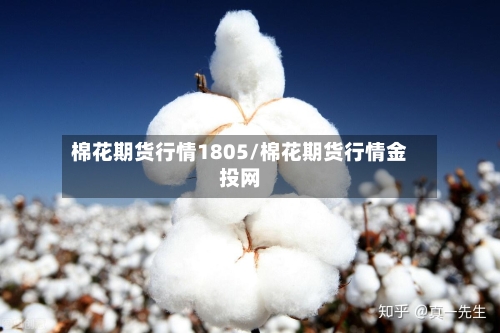 棉花期货行情1805/棉花期货行情金投网-第3张图片
