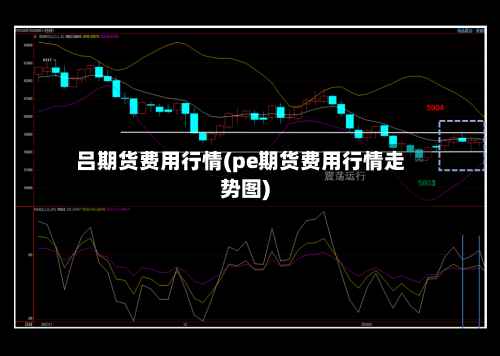 吕期货费用行情(pe期货费用行情走势图)-第1张图片
