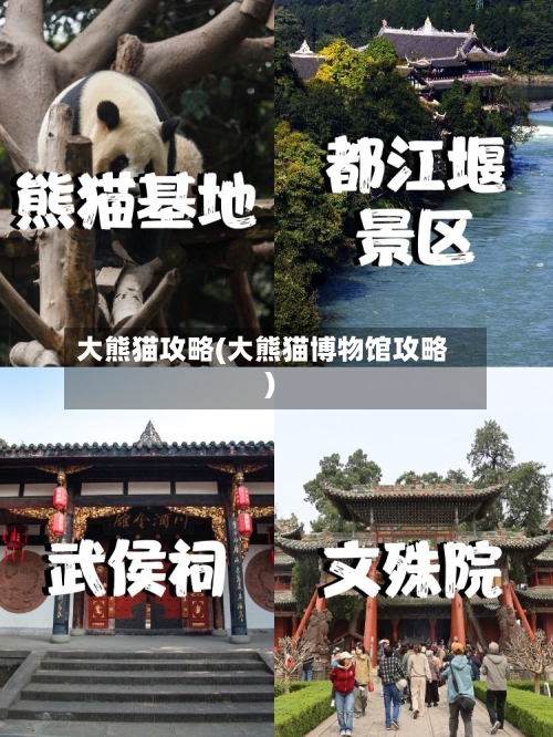 大熊猫攻略(大熊猫博物馆攻略)-第3张图片