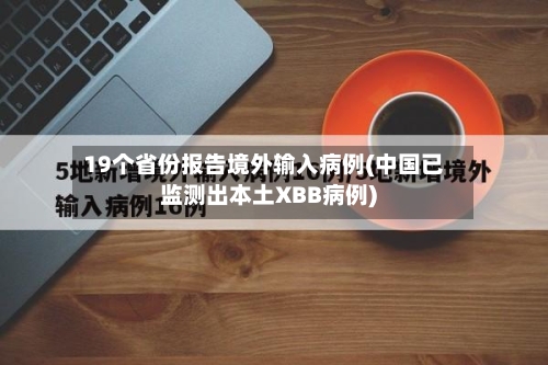 19个省份报告境外输入病例(中国已监测出本土XBB病例)-第2张图片