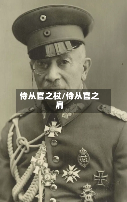 侍从官之杖/侍从官之肩-第2张图片