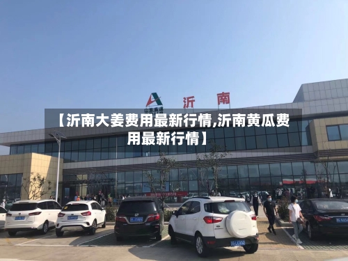 【沂南大姜费用最新行情,沂南黄瓜费用最新行情】-第1张图片