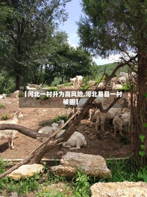 【河北一村升为高风险,河北易县一村被困】
