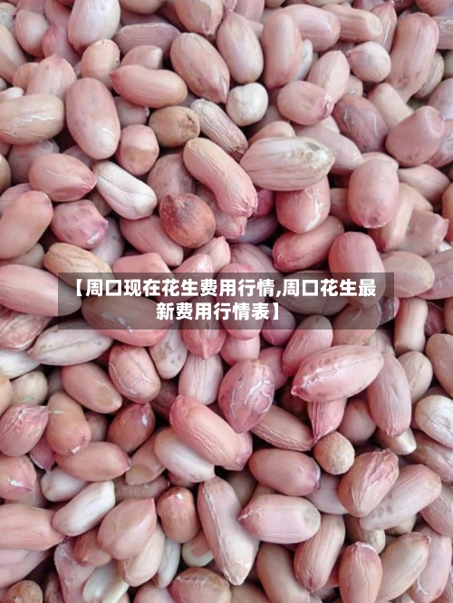 【周口现在花生费用行情,周口花生最新费用行情表】-第1张图片