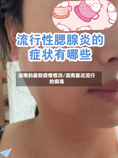 湖南的最新疫情情况/湖南最近流行的病毒-第1张图片