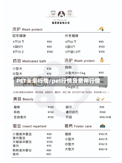 PET未来行情/pet行情及费用行情-第3张图片