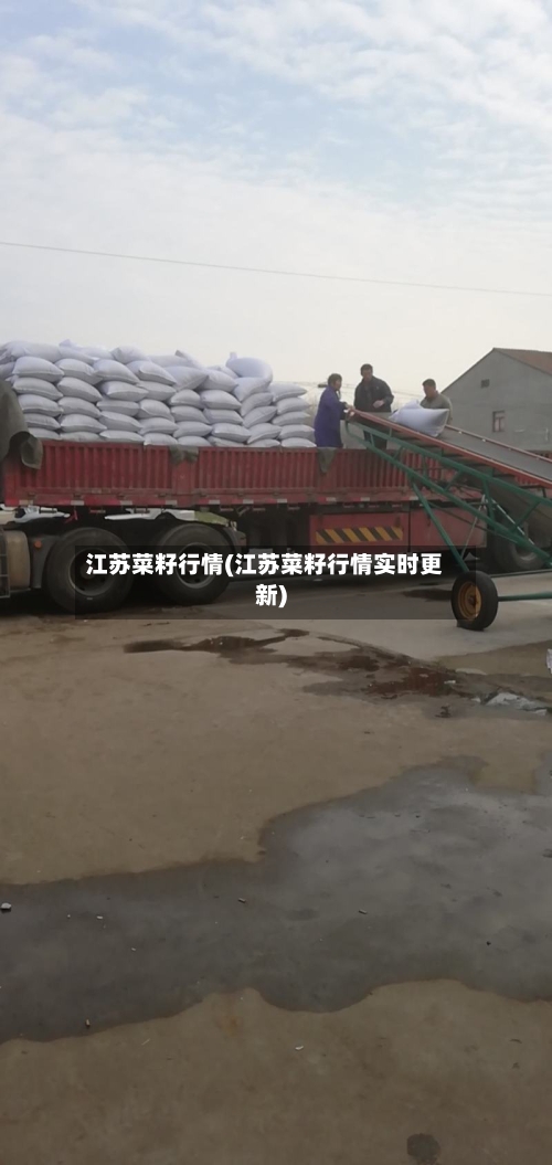 江苏菜籽行情(江苏菜籽行情实时更新)-第1张图片
