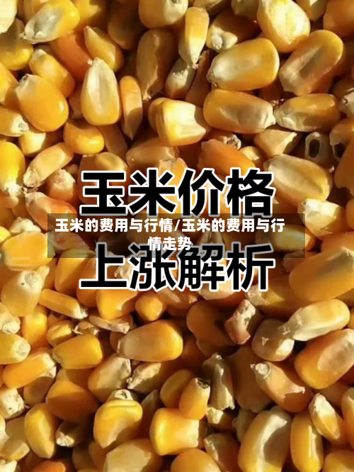 玉米的费用与行情/玉米的费用与行情走势-第1张图片