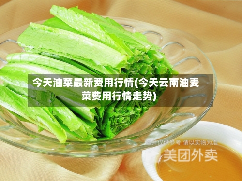 今天油菜最新费用行情(今天云南油麦菜费用行情走势)-第1张图片